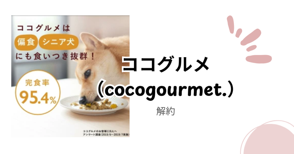 ココグルメ定期コースの解約方法を徹底解説｜申し込み前に知っておきたい手順と注意点